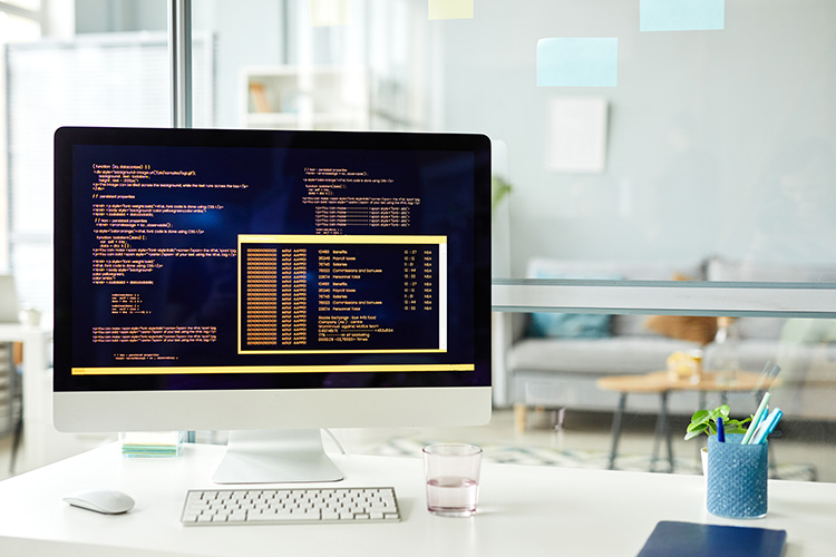 software-development